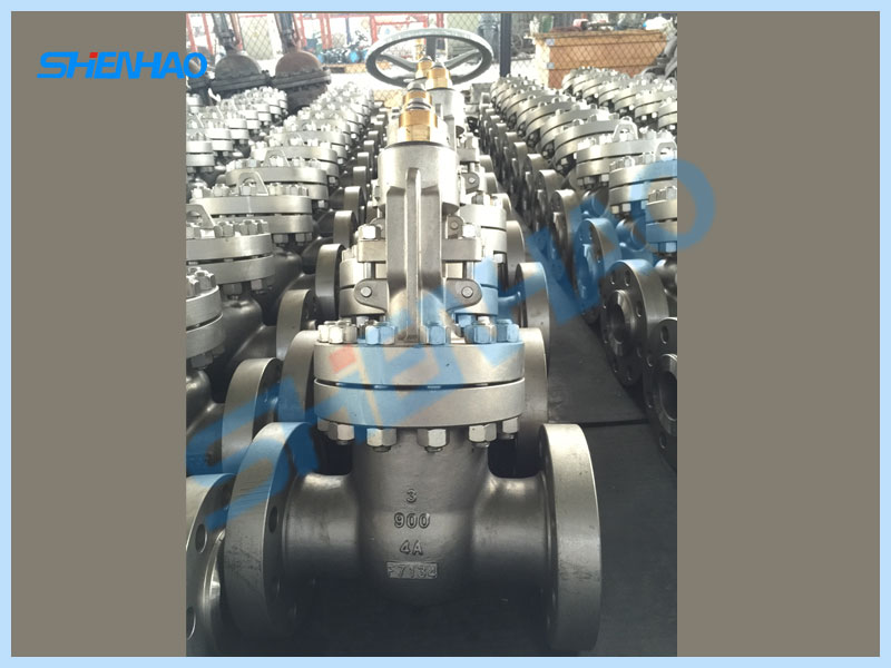 Gate Valve Class 900LB