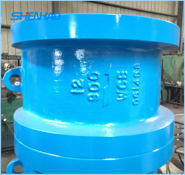 Clip check valve 12”