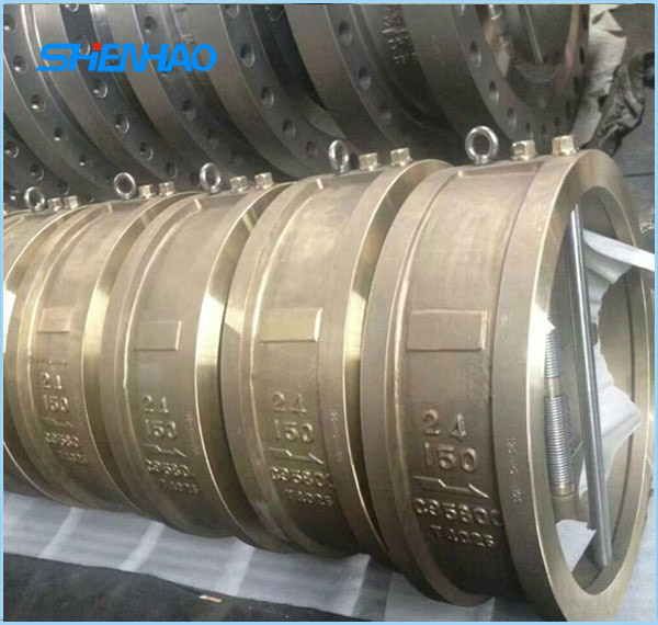 Clip check valve 24”