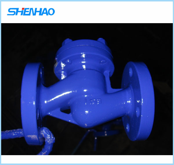 DIN check valve(Germany standard)