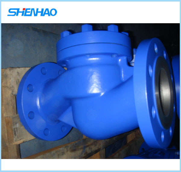 DIN check valve