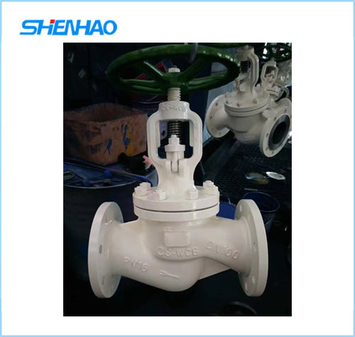 DIN Globe Valve