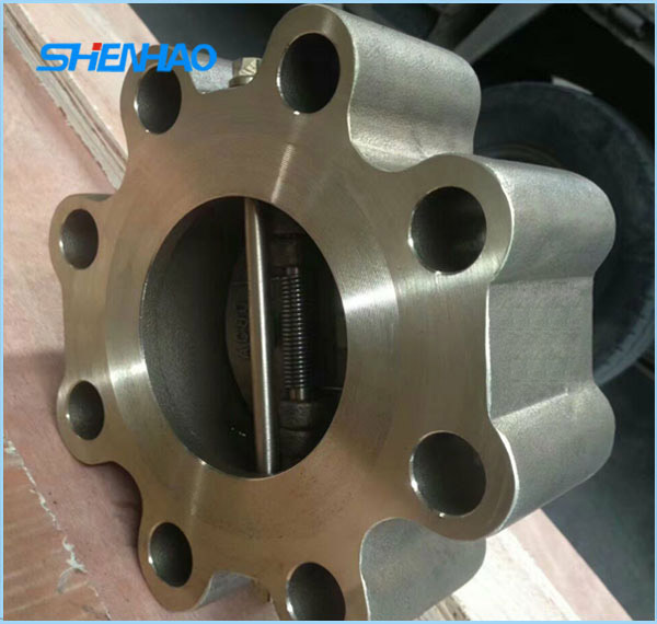 Dual Plate Check Valve 3-300