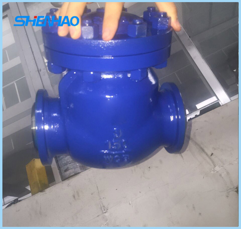 Germany standard check valve