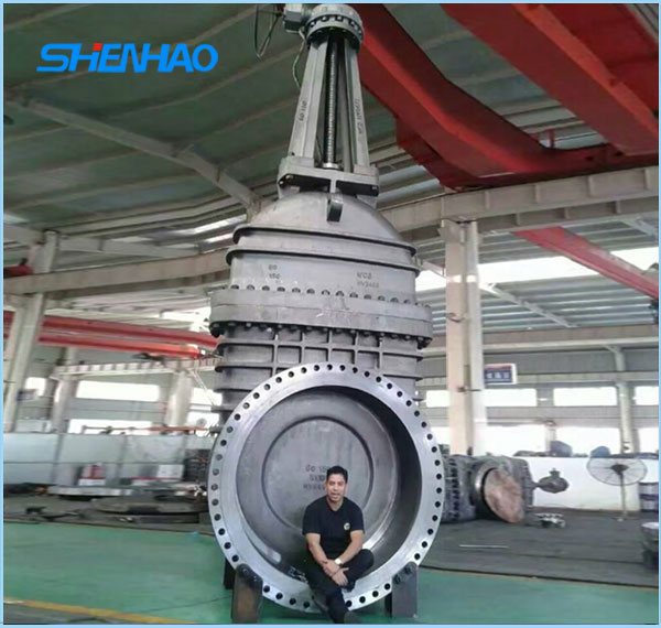 Large diameter gate valve