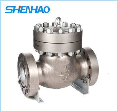 Swing Check Valve