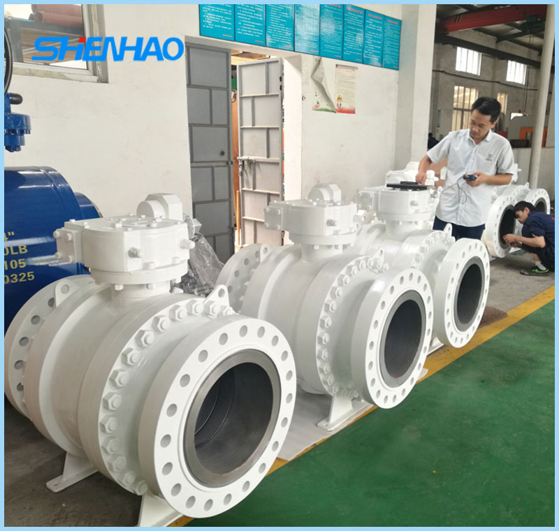 Trunnion Ball Valve 16 inch