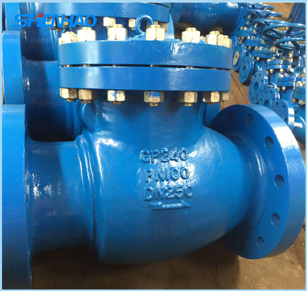 Swing Check Valve  DN250