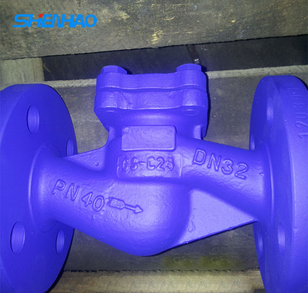 DIN check valve DN32