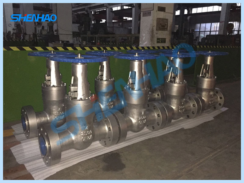 Globe Valve Class 900LB