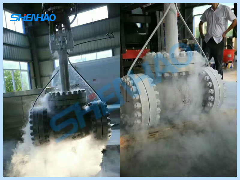 ShenHao Gate Valve