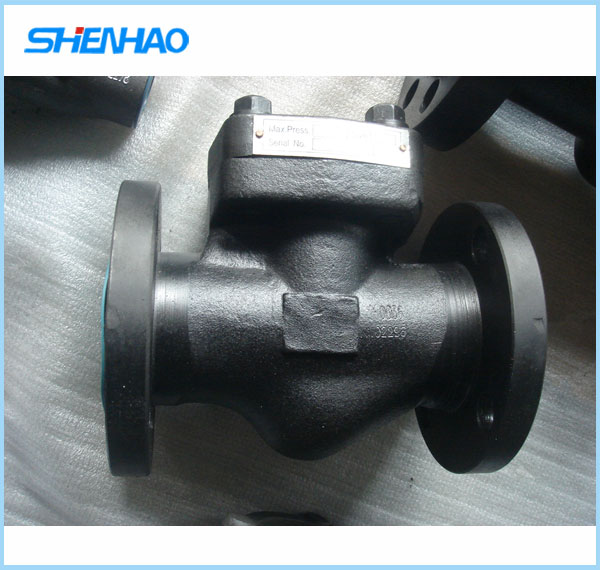 forged steel check valve