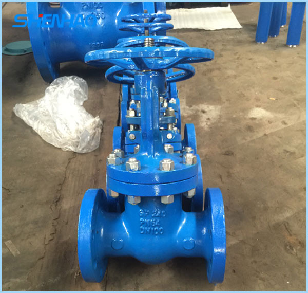 DIN gate valve DN100