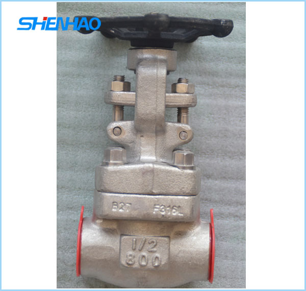 Forged steel gate valve 800LB