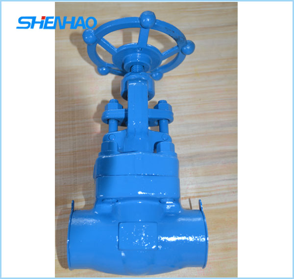 Forged steel gate valves