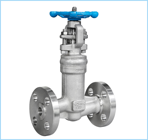 globe valve