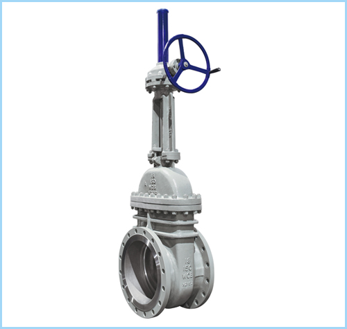 gate valve 6