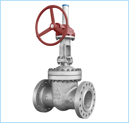 gate valve 8