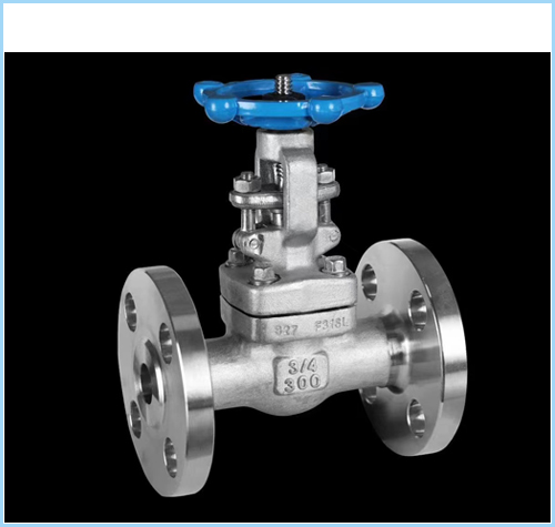 Forged steel flange gate valves