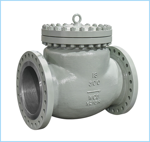 API check valves